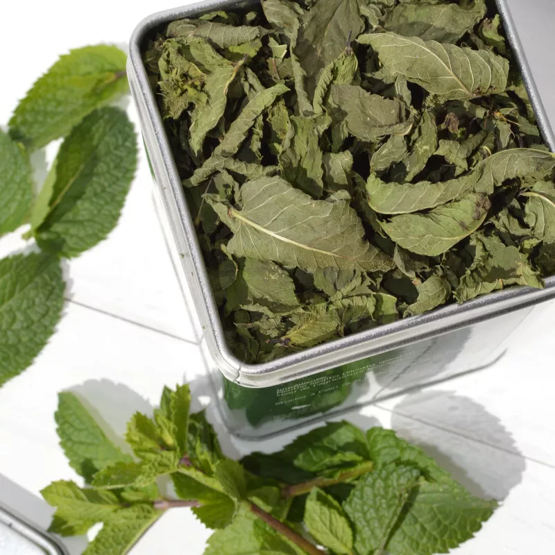 Thé revisité - Menthhe mojito
